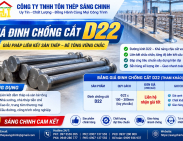 Giá Đinh Chống Cắt D22