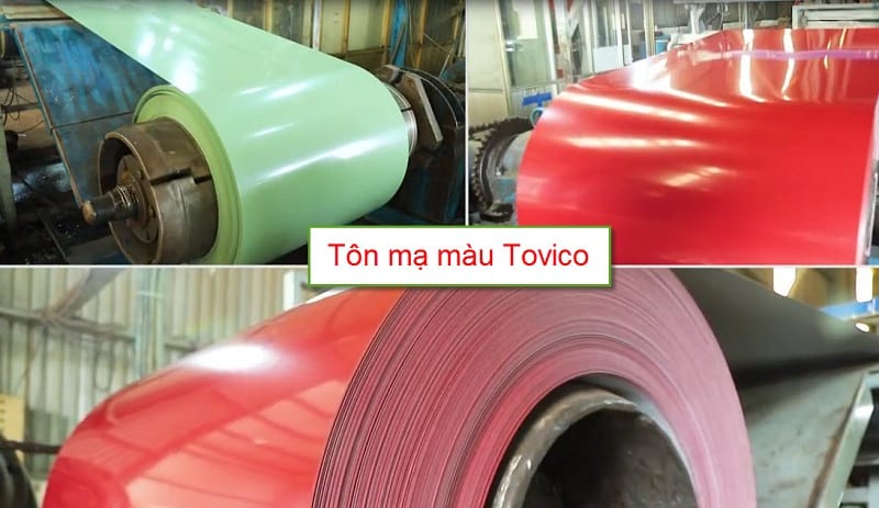 Đặc Điểm Tôn Tovico