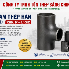 Tê Giảm Thép Hàn (Tê Thu) SCH20, SCH40, SCH80